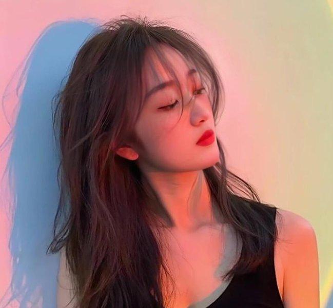 布雷斯塔警长电影版