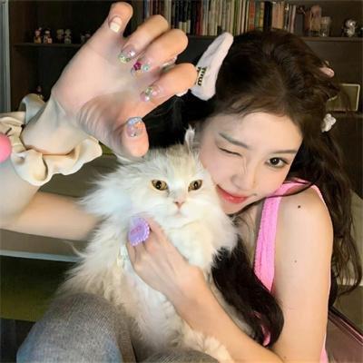 小塔历险记之记忆森林